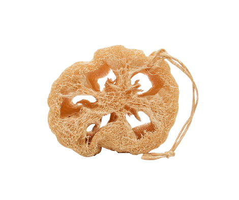 Estropajo de Zacate/Luffa